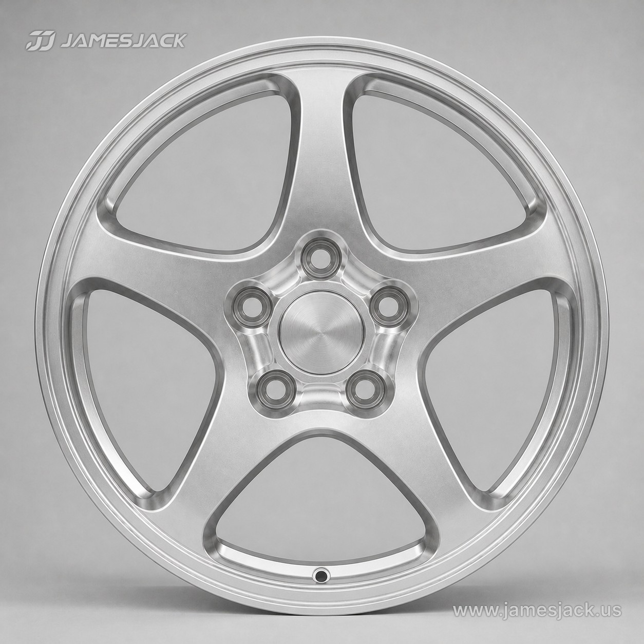 Classic Porsche 911 | Silver Contours detail 1